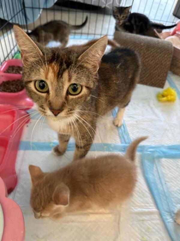 MAMA & MINI-ME
