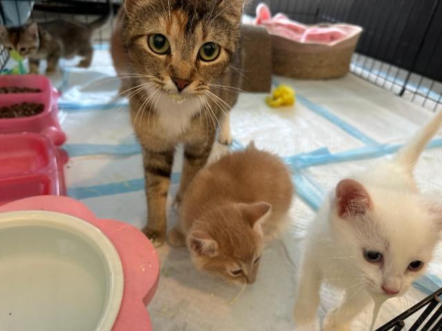 MAMA & MINI-ME
