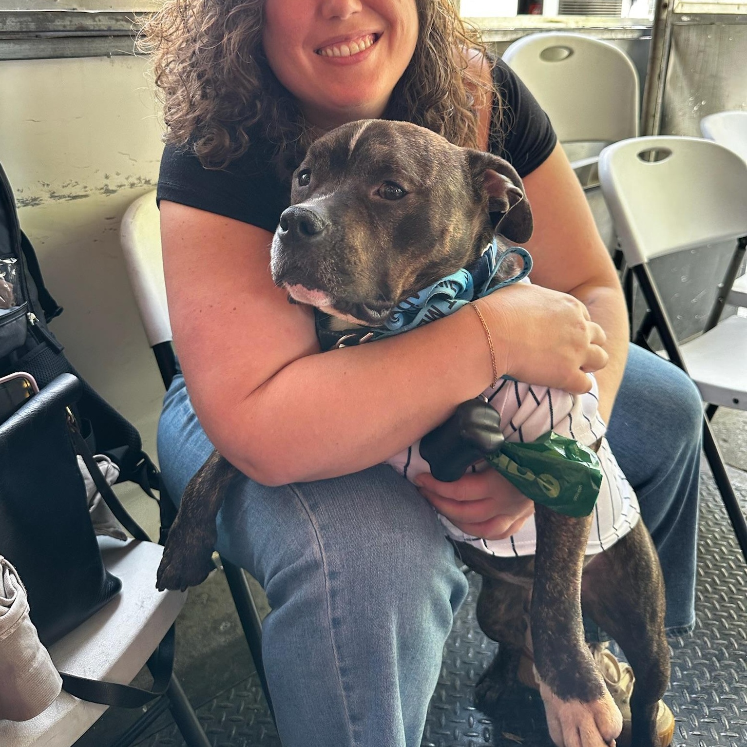 Waldo, a ADOPTABLE mixed breed in New York, NY image 5/6