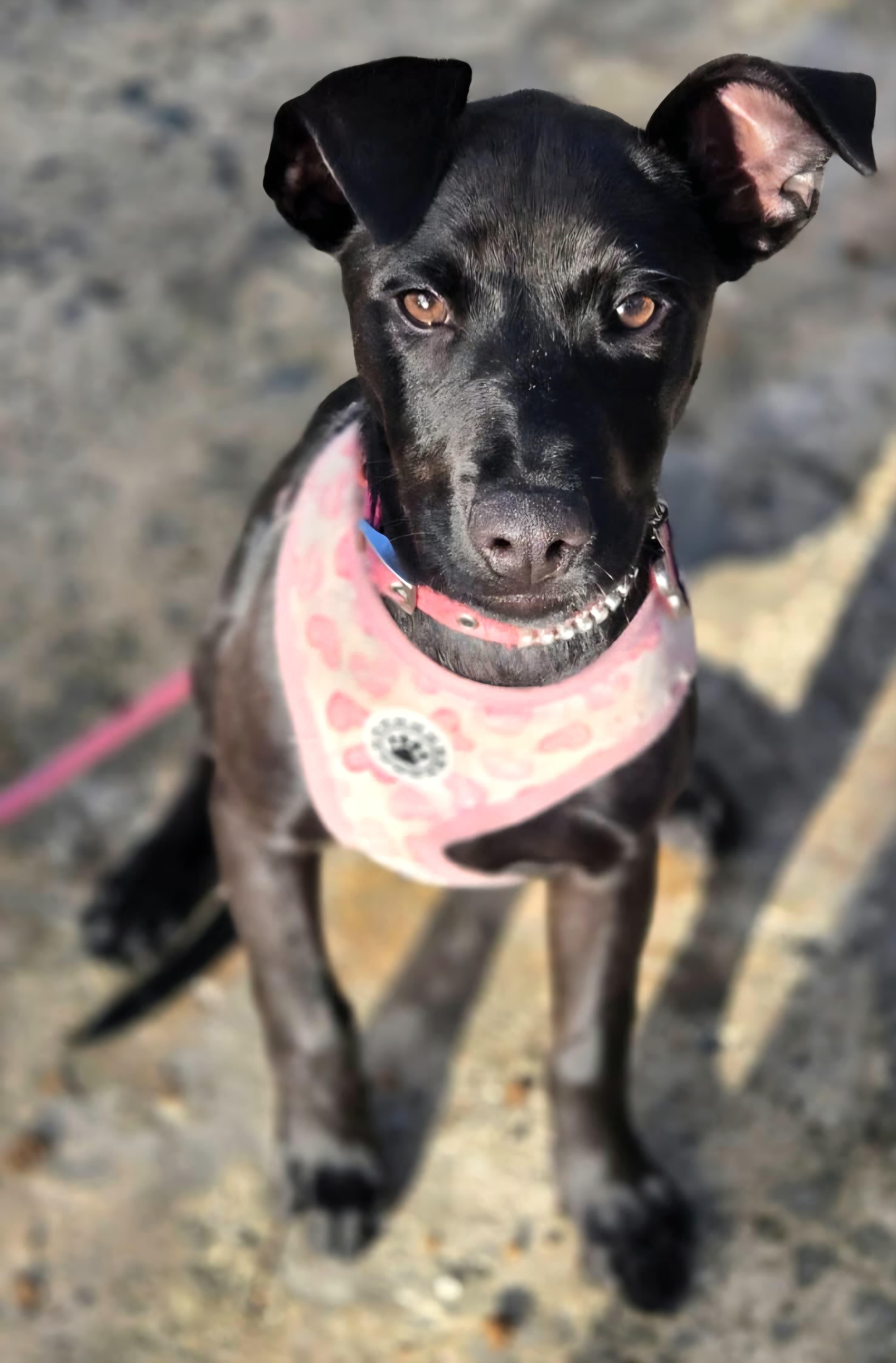 Moon "my Love With thumbnail 3