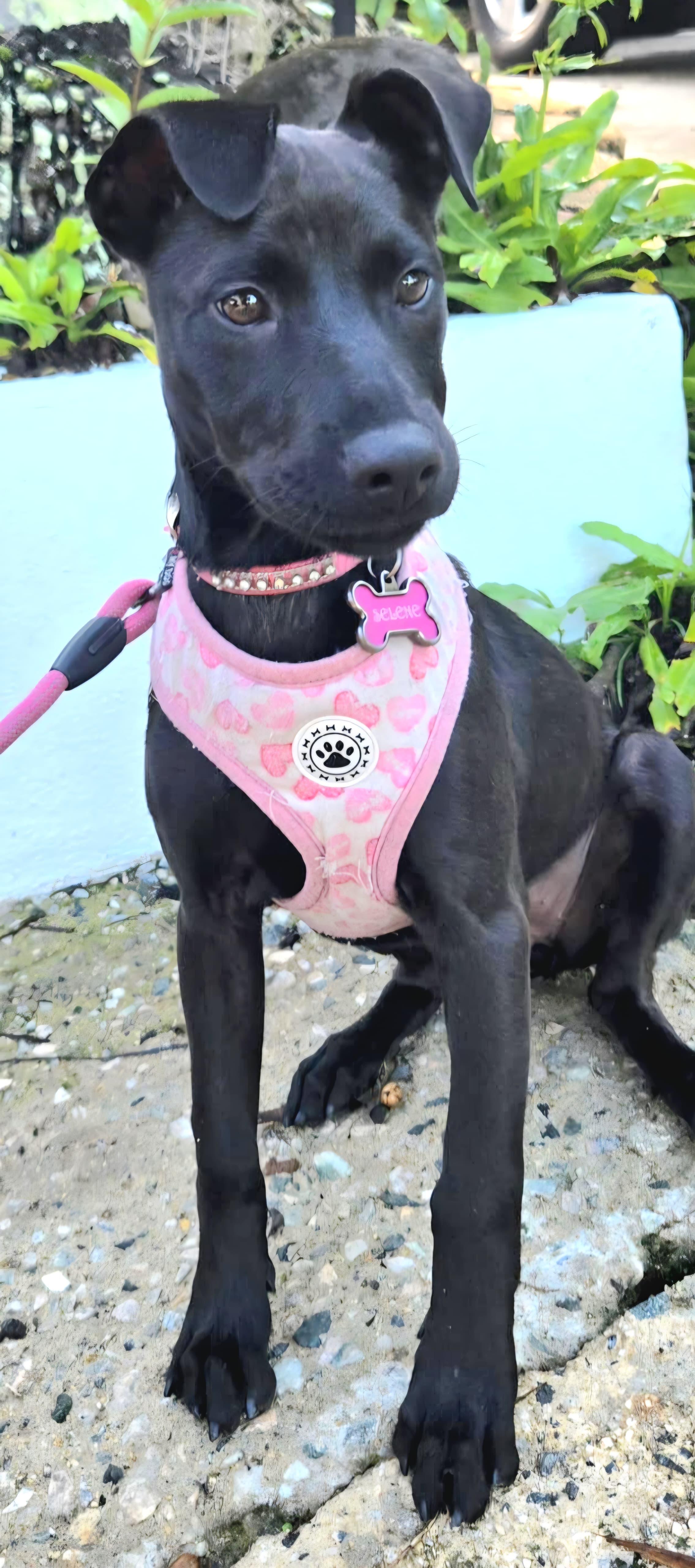 Moon "my Love With thumbnail 4