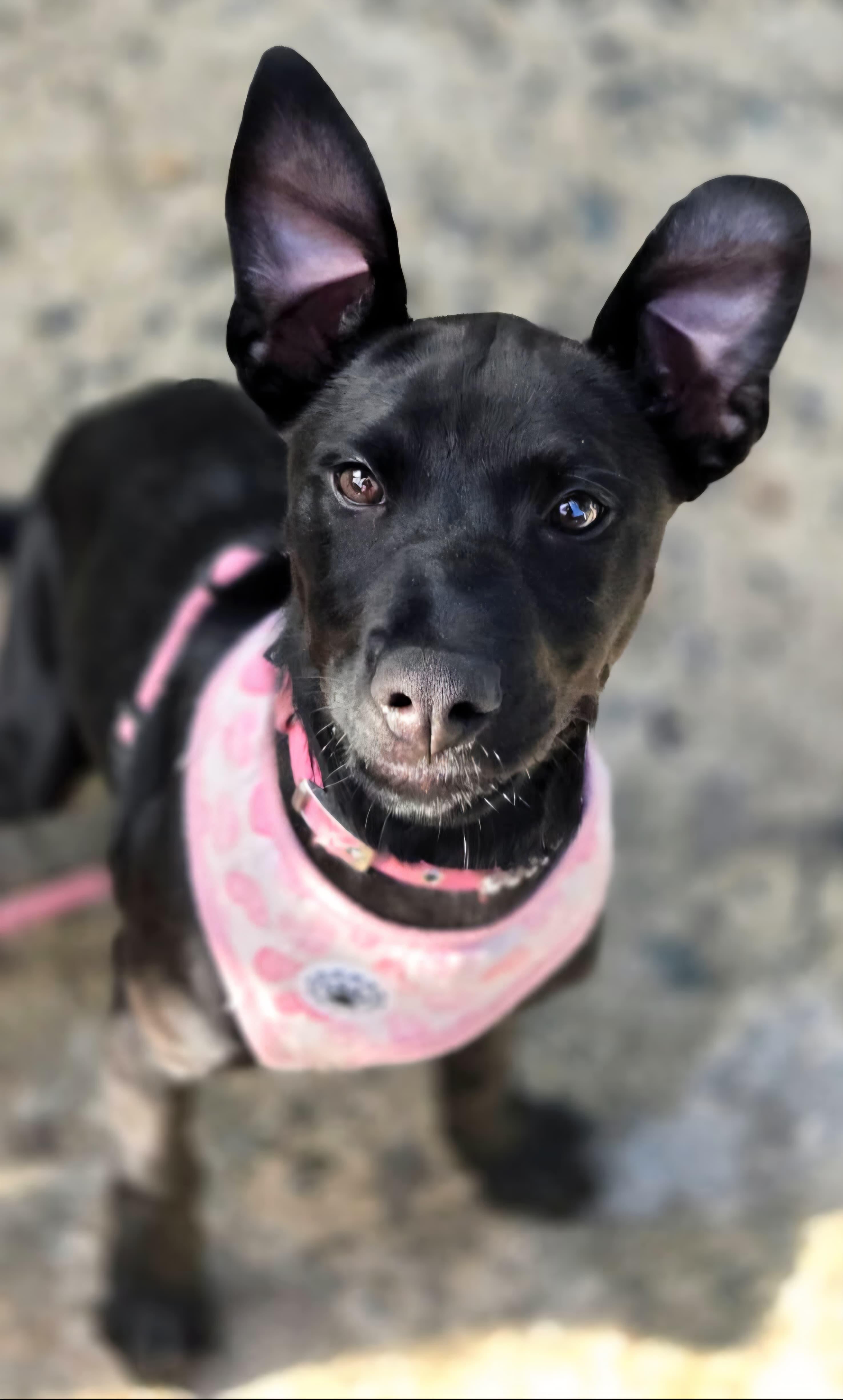 Moon "my Love With thumbnail 5