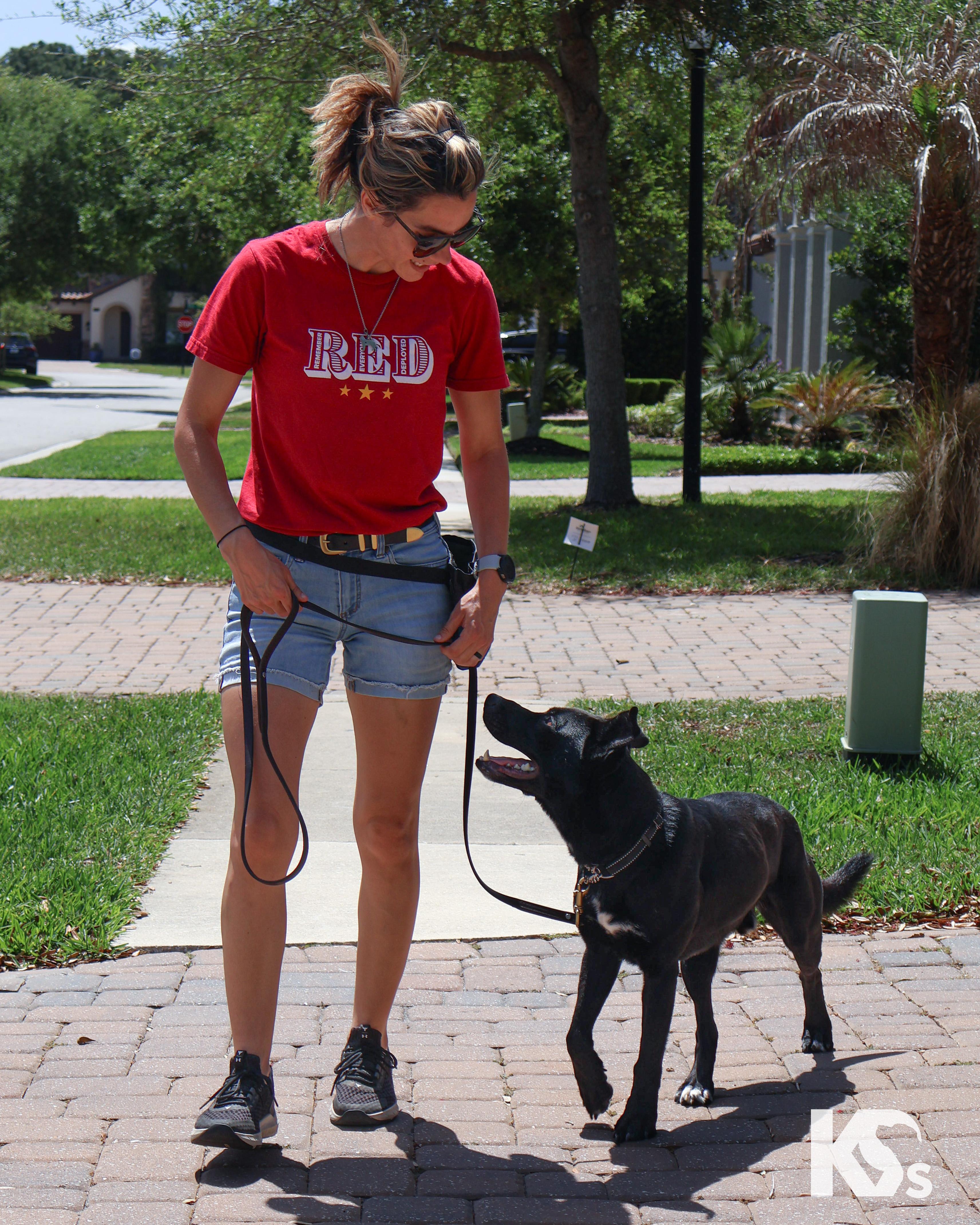 Enlarge Spork, a Adoptable mixed breed in Ponte Vedra, FL image 6/6