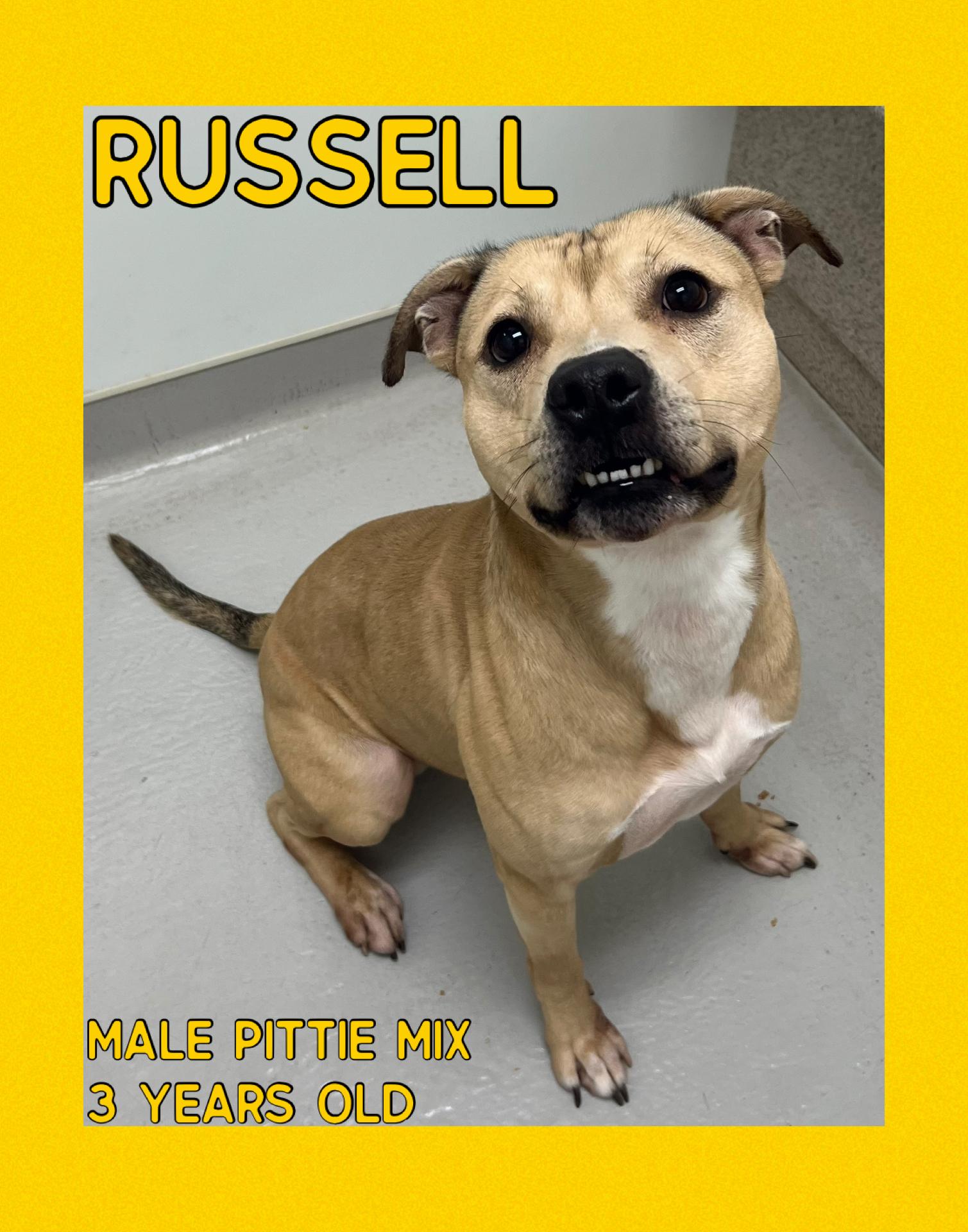 Russell
