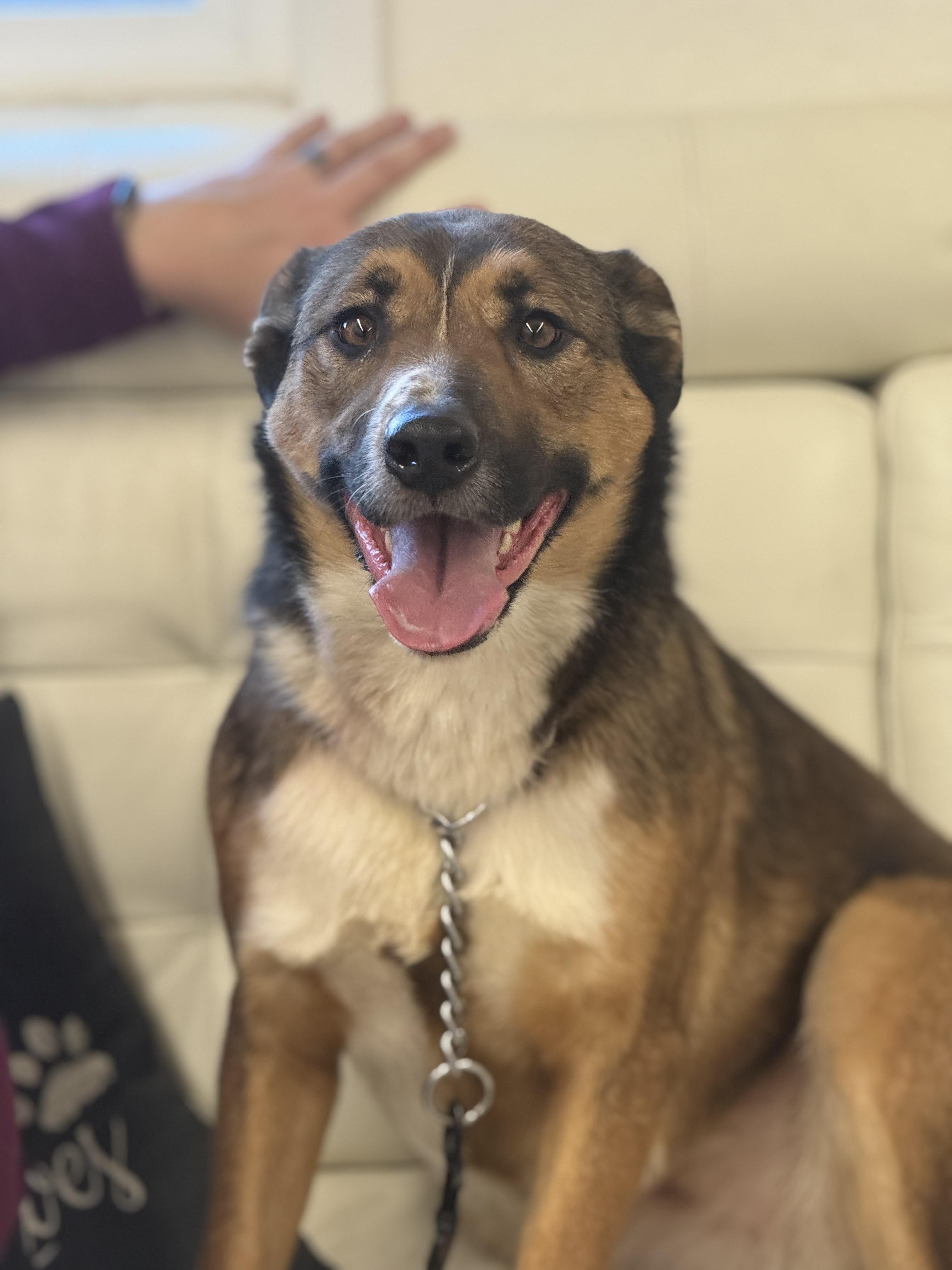 Fiona 0126 — thumbnail 2