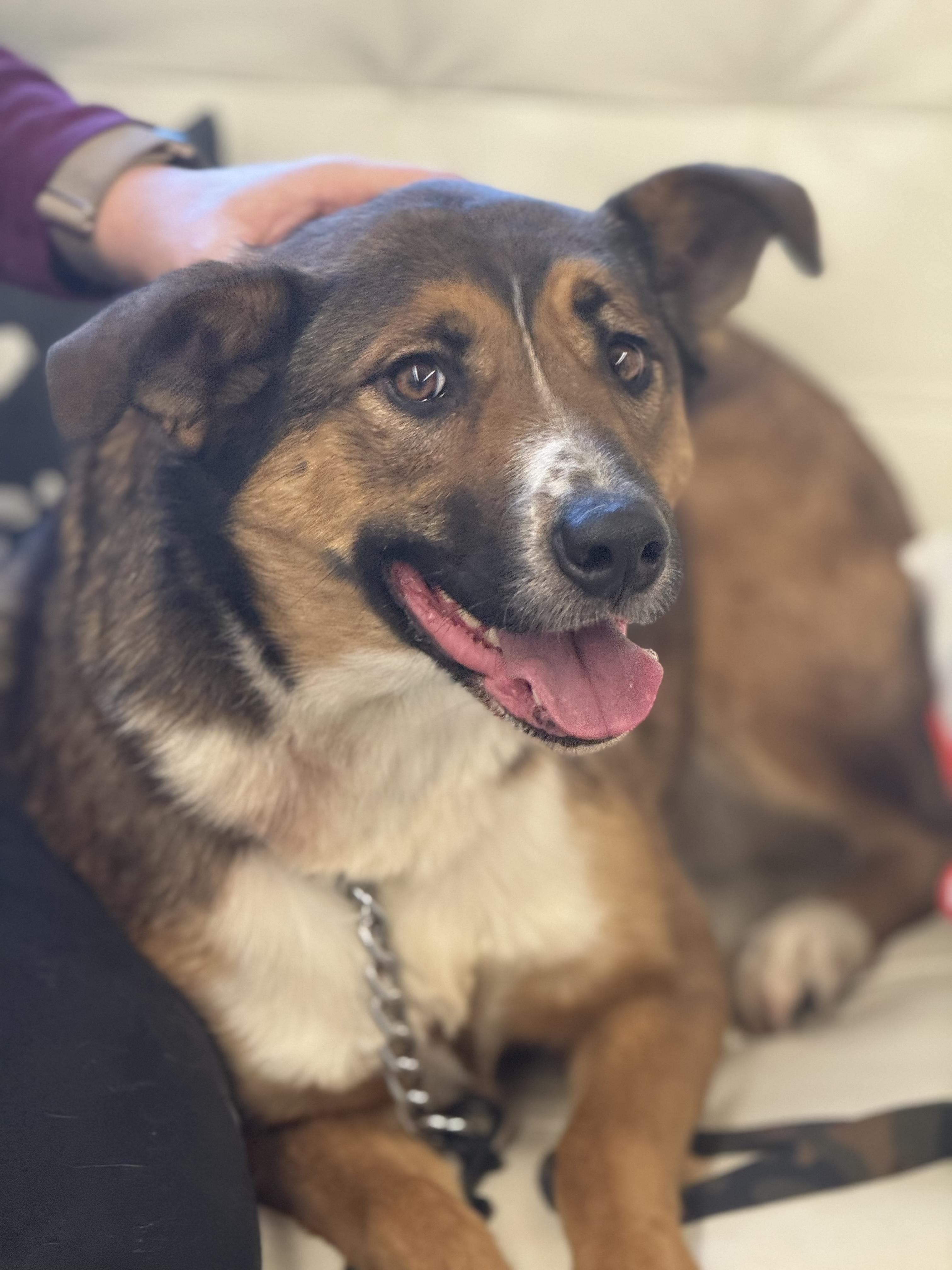 Fiona 0126 — thumbnail 3