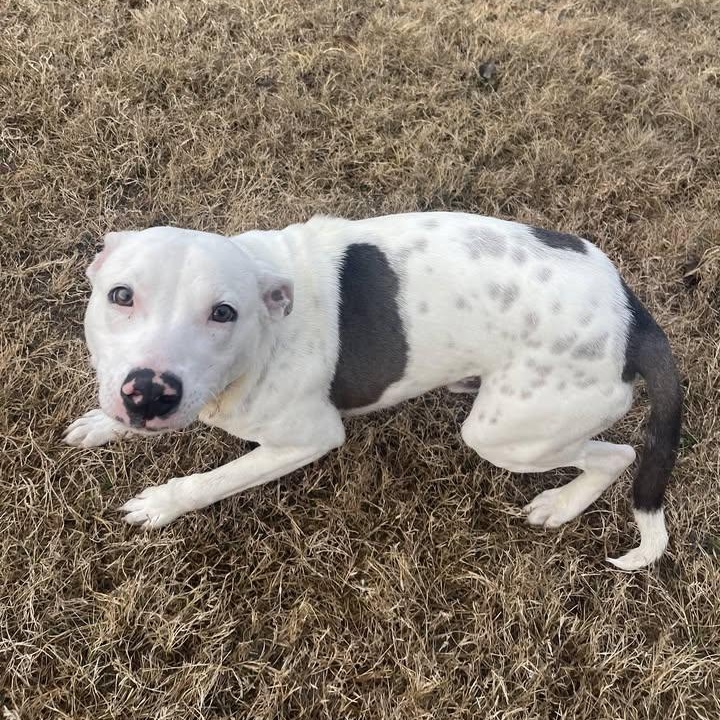 Toaster Strudel (20260128-02) — thumbnail 6