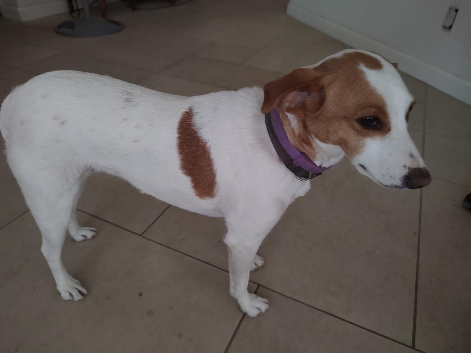 Deja (Cathedral City)