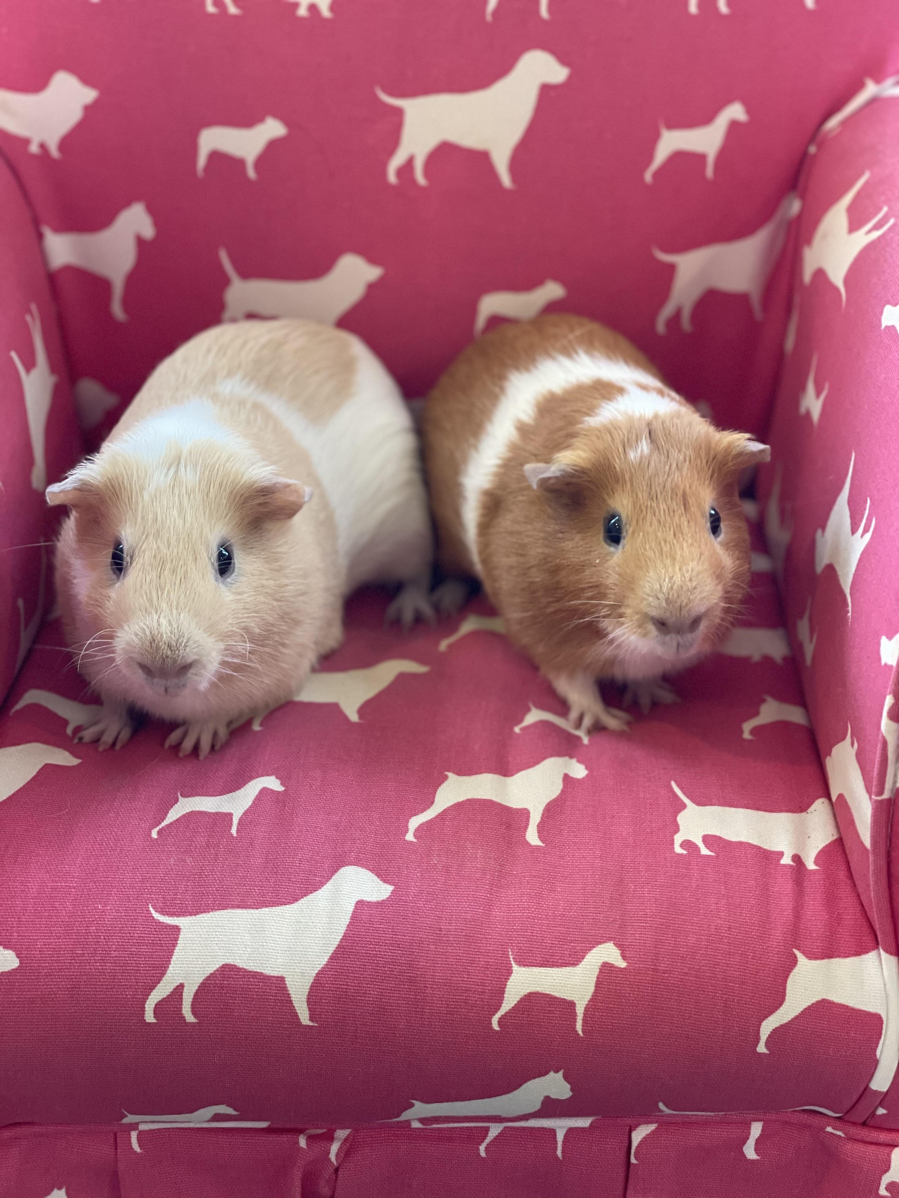 Fred and Patrick