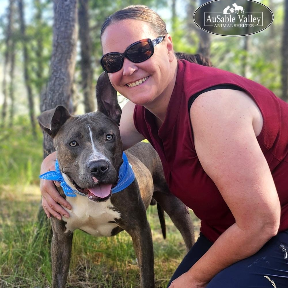 Ralph, an adoptable Mixed Breed in Grayling, MI, 49738 | Photo Image 1