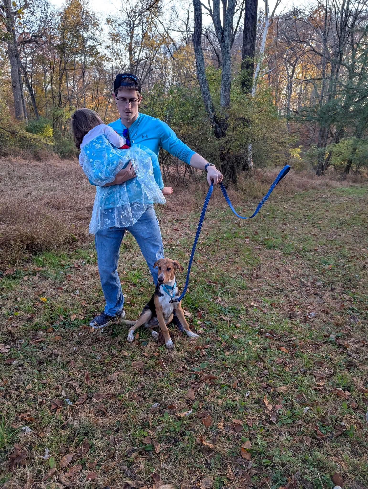 Cooper, Adoptable, Young Male Hound.