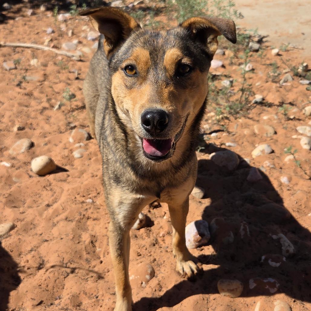 Triscuit — thumbnail 2