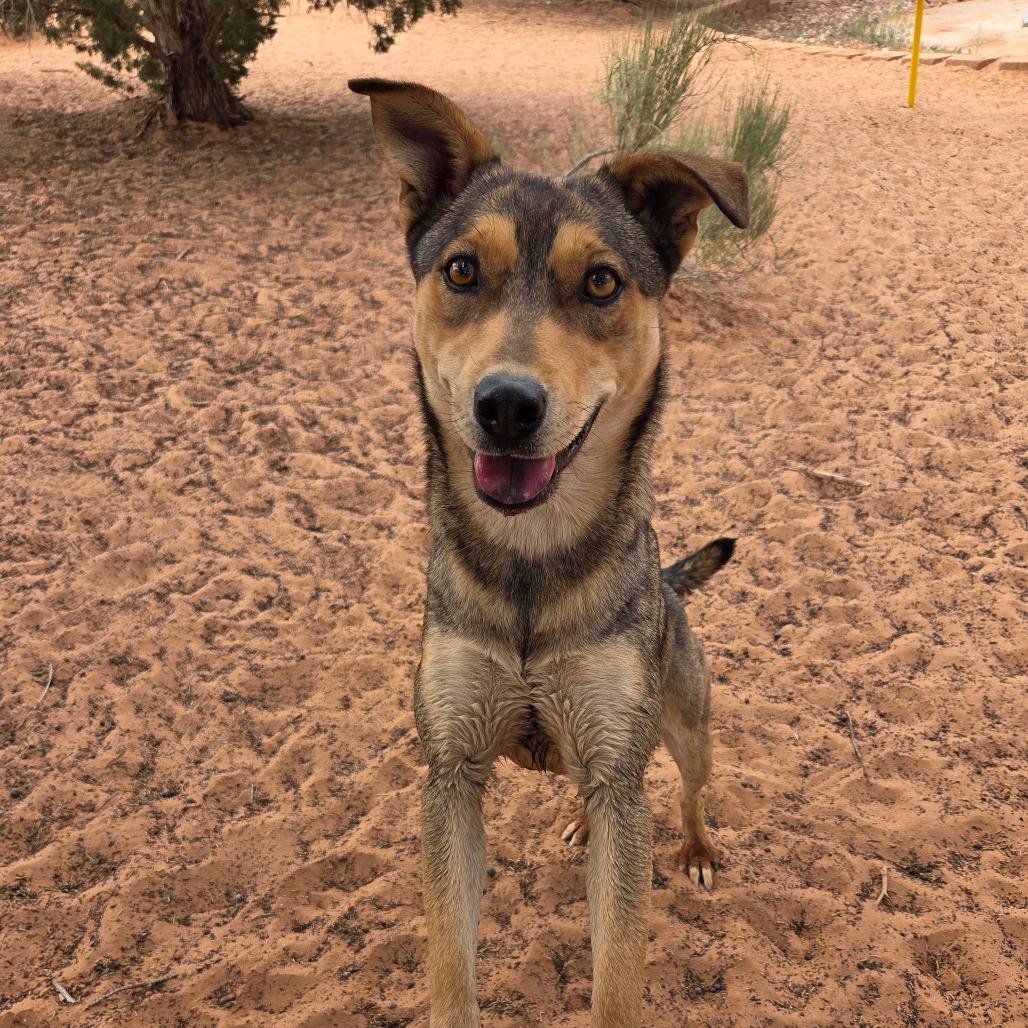 Triscuit — thumbnail 3