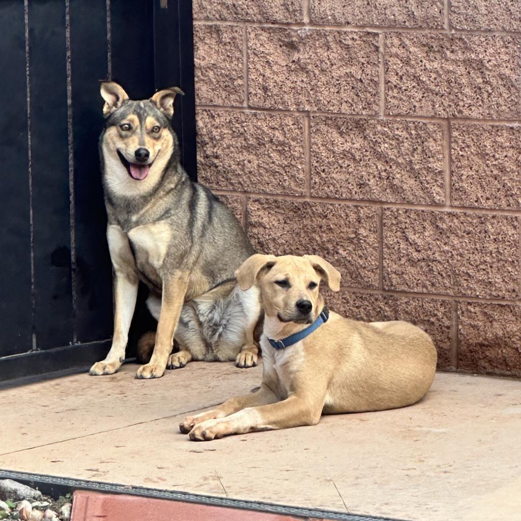 Triscuit — thumbnail 5