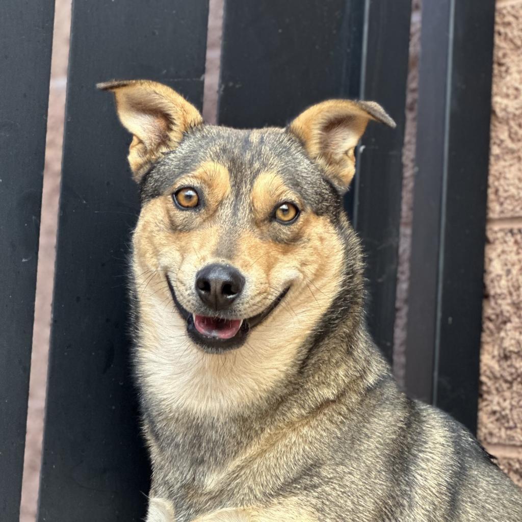 Triscuit — thumbnail 6