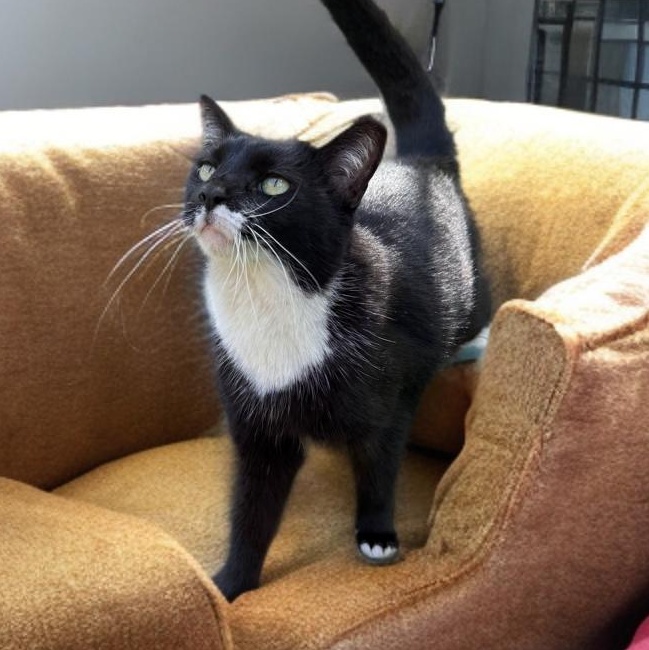 Patina — thumbnail 2