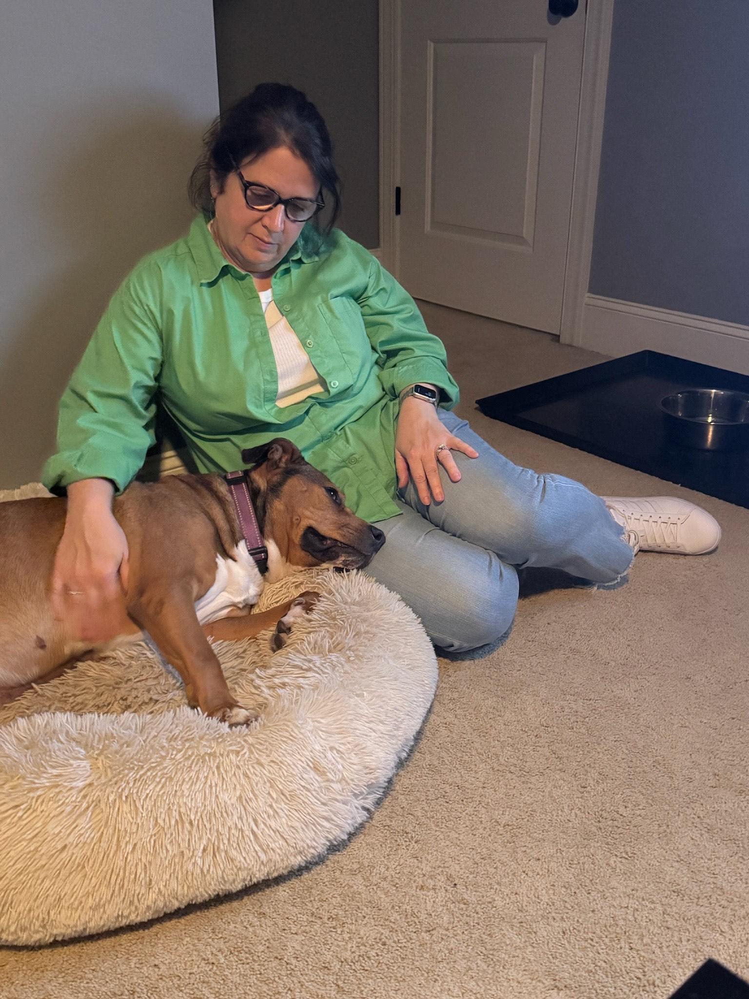 Enlarge Allie, a Adopted mixed breed in Charlotte, NC image 4/6