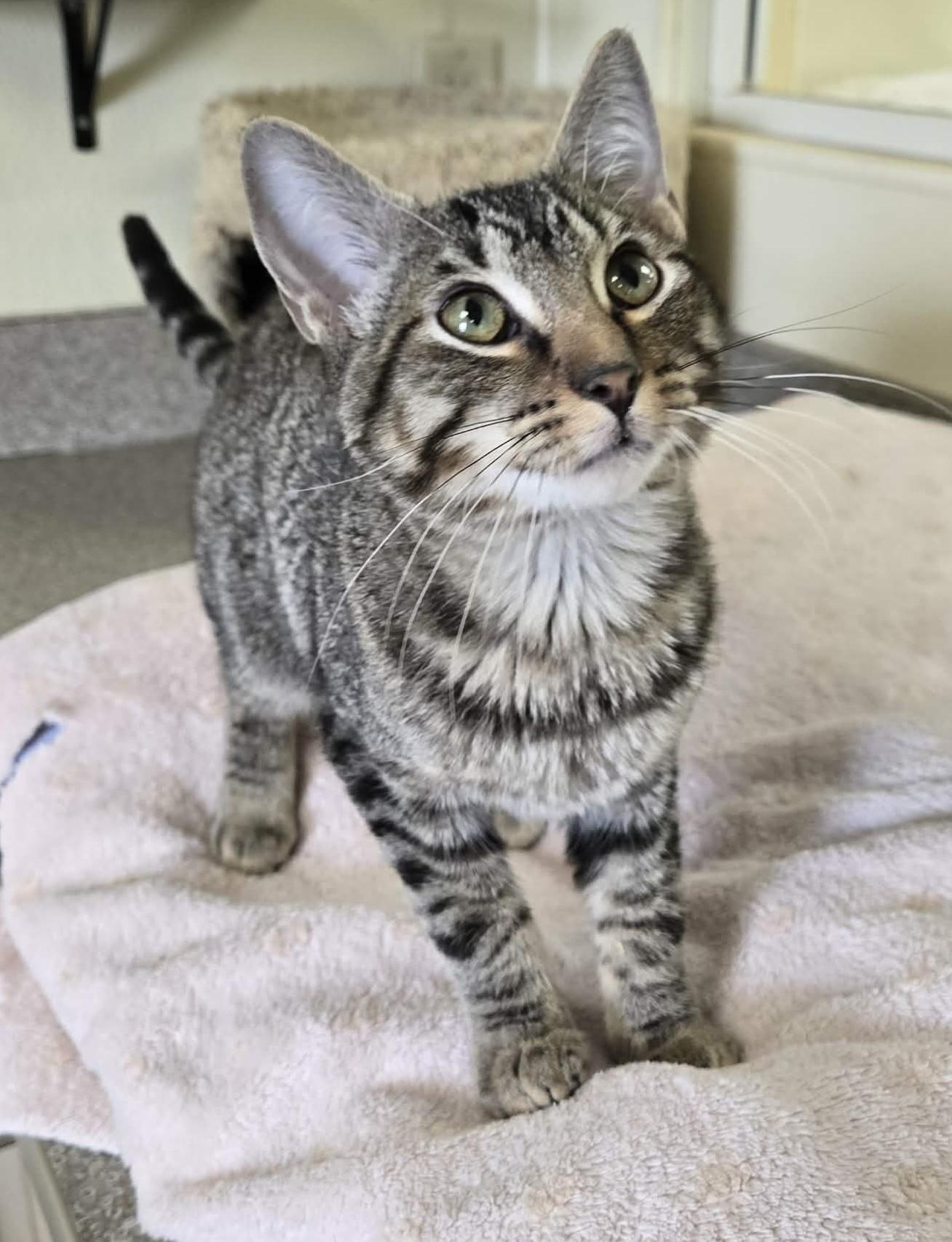 Hurricane thumbnail 2