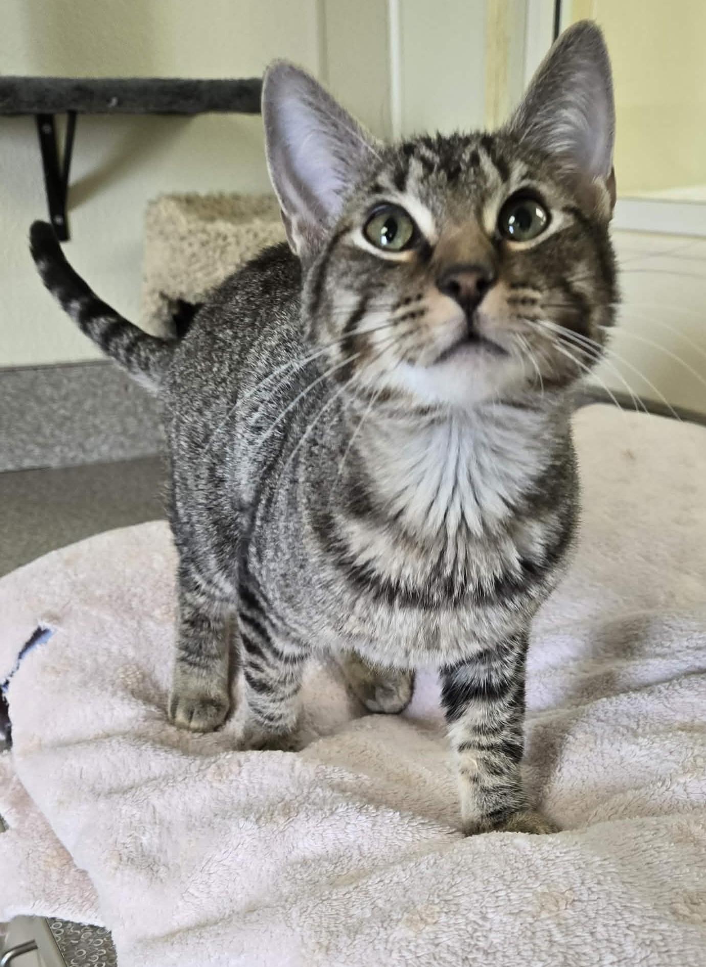 Hurricane thumbnail 4