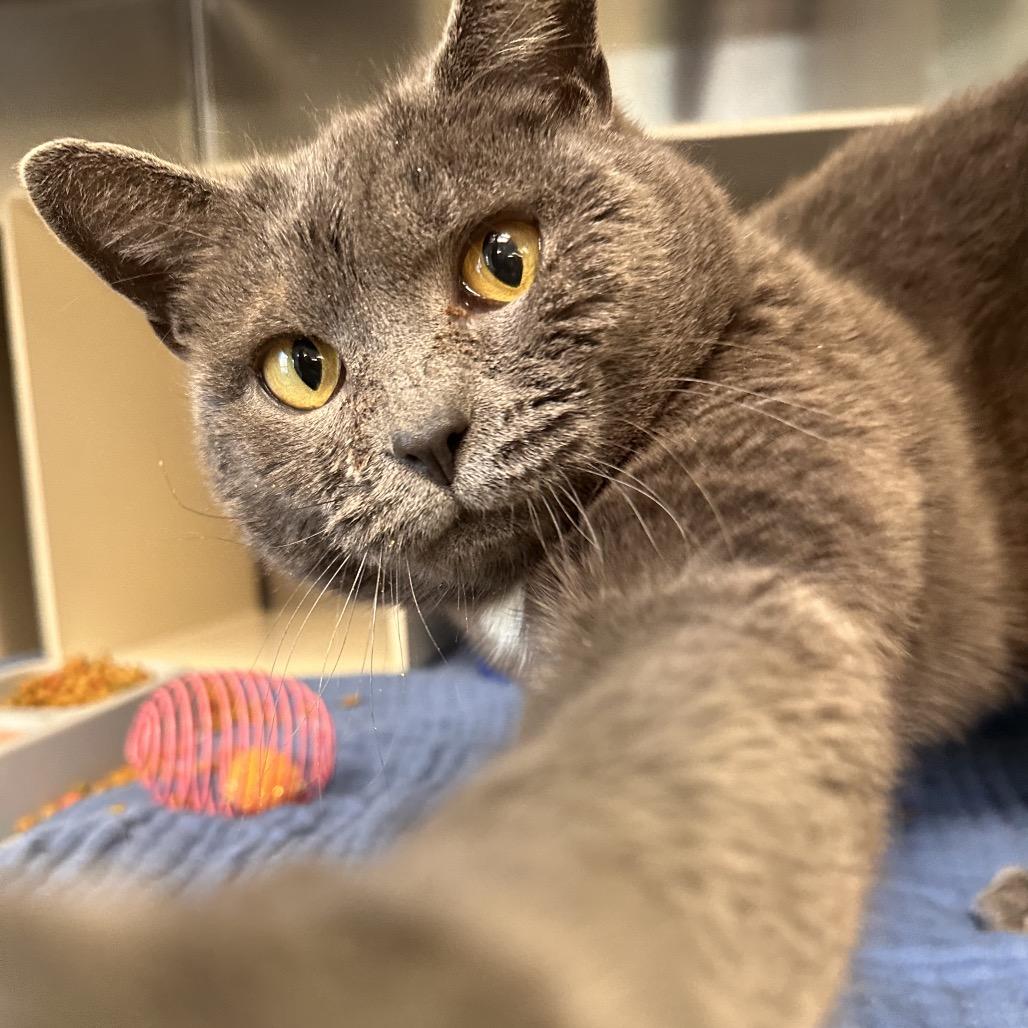 Martha Mets — thumbnail 6