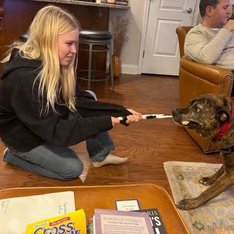 Loki, a Adoptable Mixed Breed in Franklin, TN image 5/6