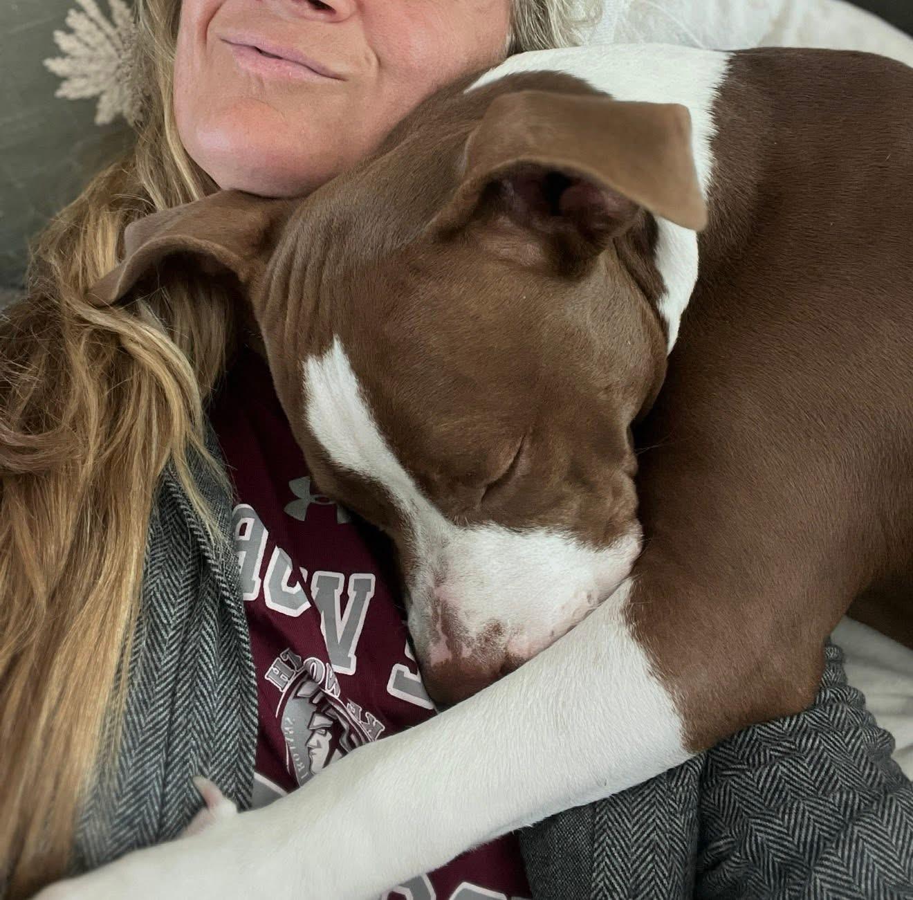 Enlarge Roux, a ADOPTABLE mixed breed in Palm springs, FL image 2/5