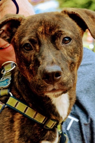 Brinkley photo 2