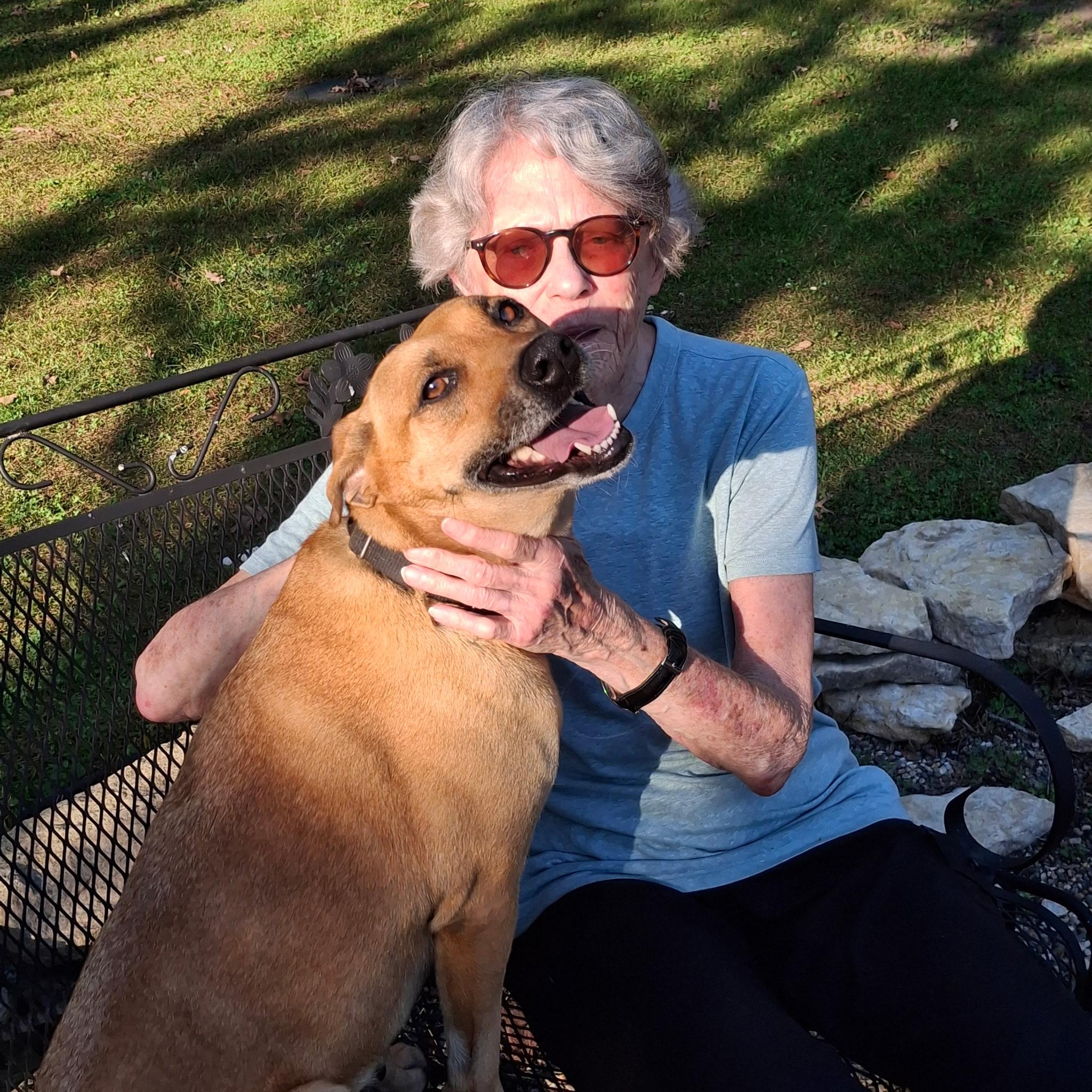 Enlarge Fern, an adopted mixed breed in Wayzata, MN image 4/6
