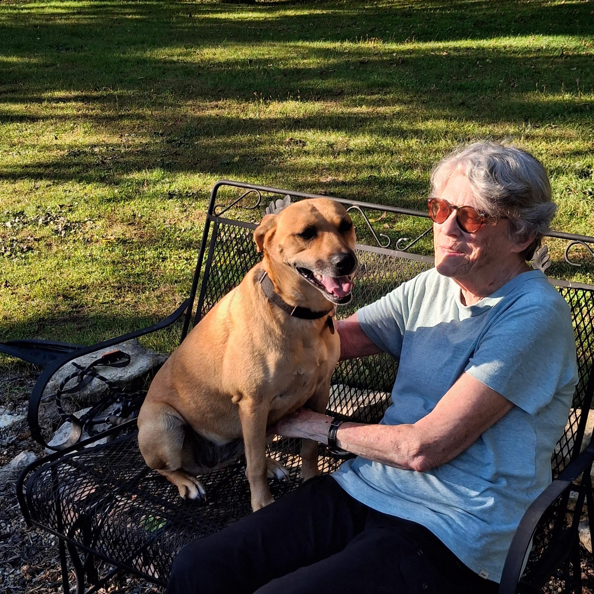 Enlarge Fern, an adopted mixed breed in Wayzata, MN image 6/6