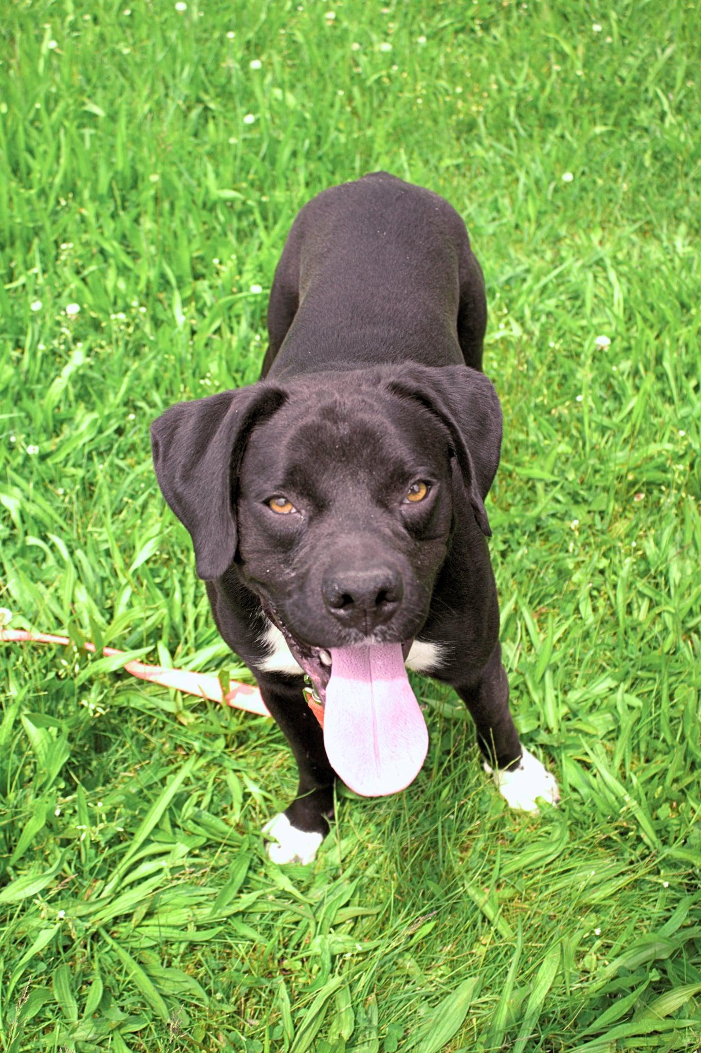 Donald-Not Accepting Applications Yet! (late August/early Sept)