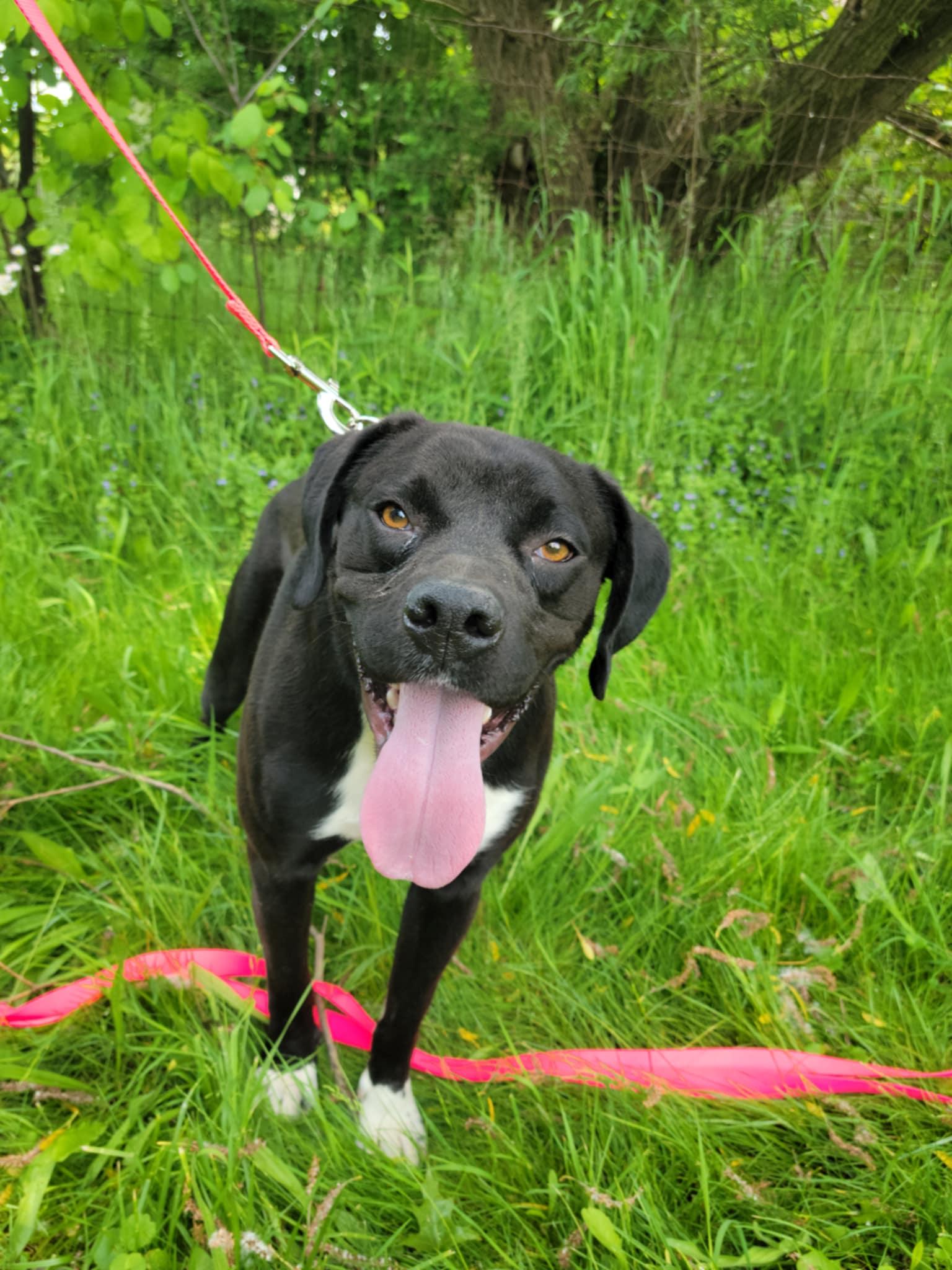 Donald-Not Accepting Applications Yet! (late August/early Sept)