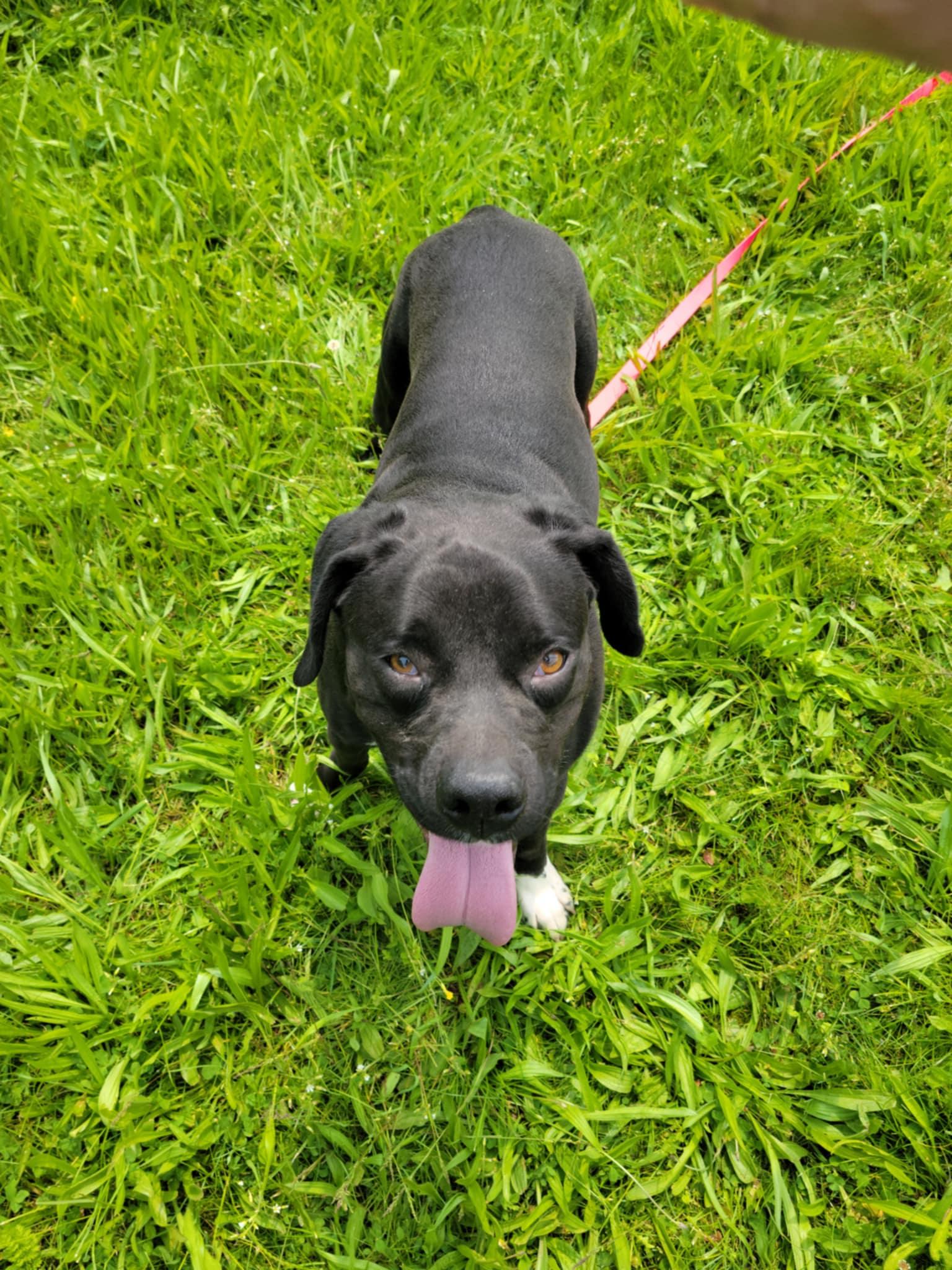 Donald-Not Accepting Applications Yet! (late August/early Sept)