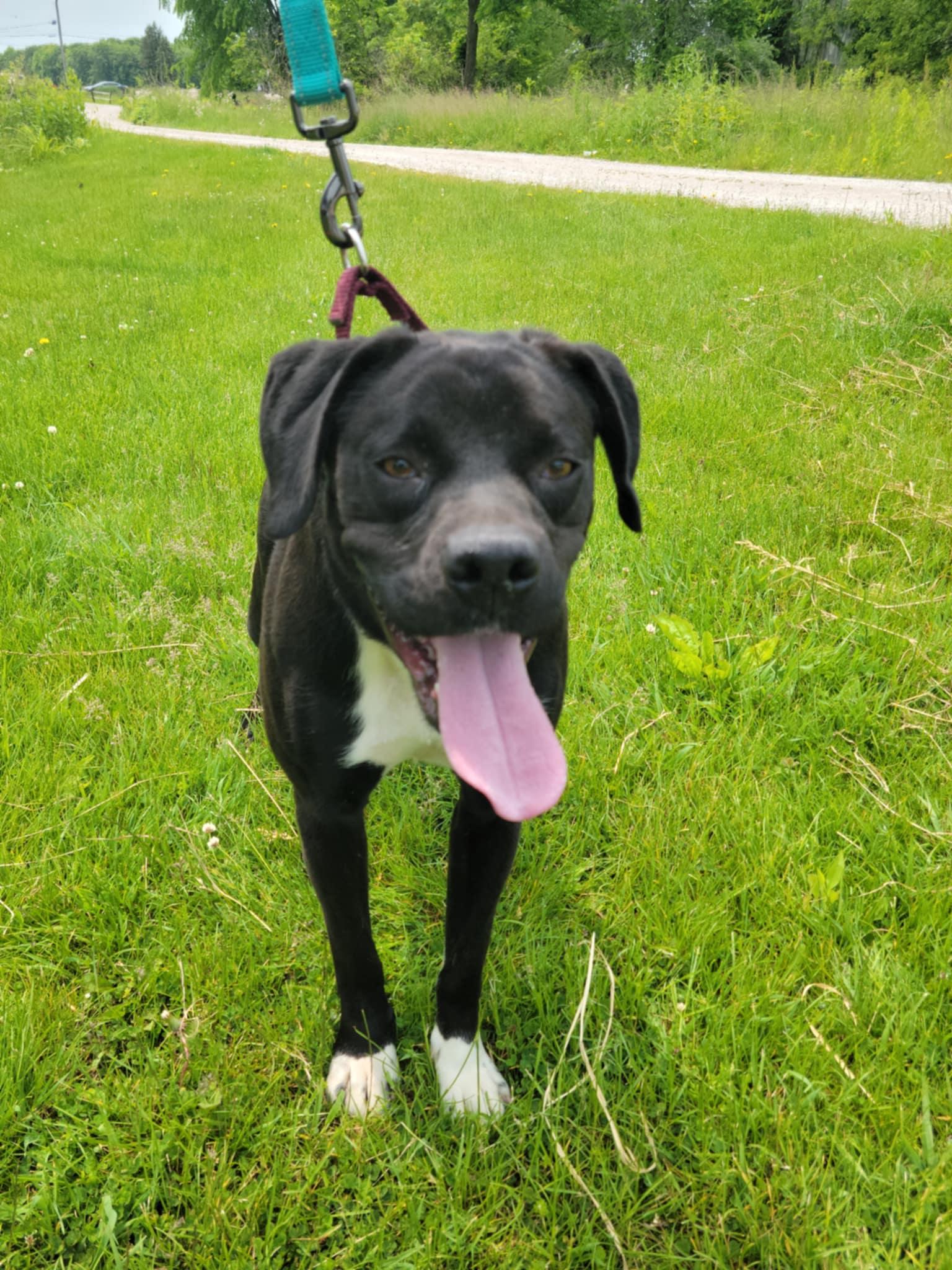 Donald-Not Accepting Applications Yet! (late August/early Sept)
