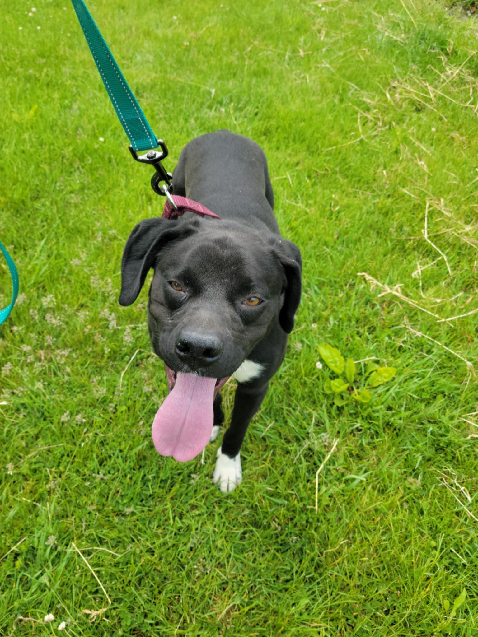 Donald-Not Accepting Applications Yet! (late August/early Sept)