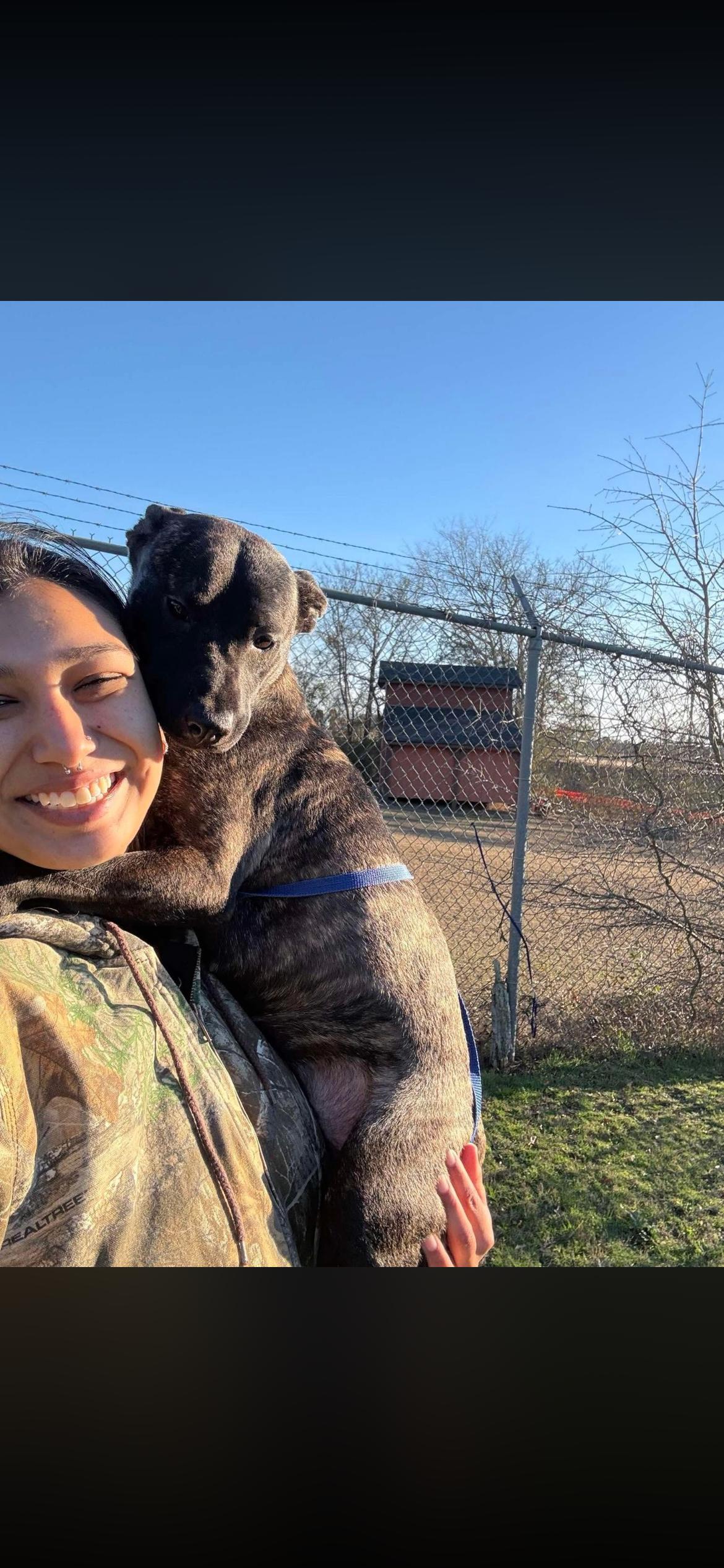 Enlarge Suki, a ADOPTABLE mixed breed in Port Saint Lucie, FL image 3/4