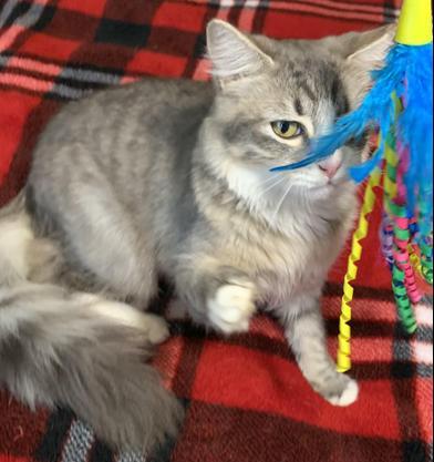 London — thumbnail 3