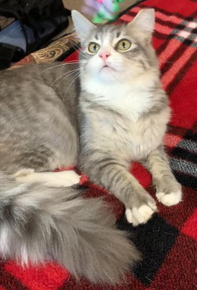 London — thumbnail 4