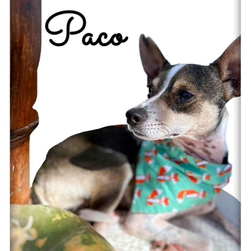 Paco
