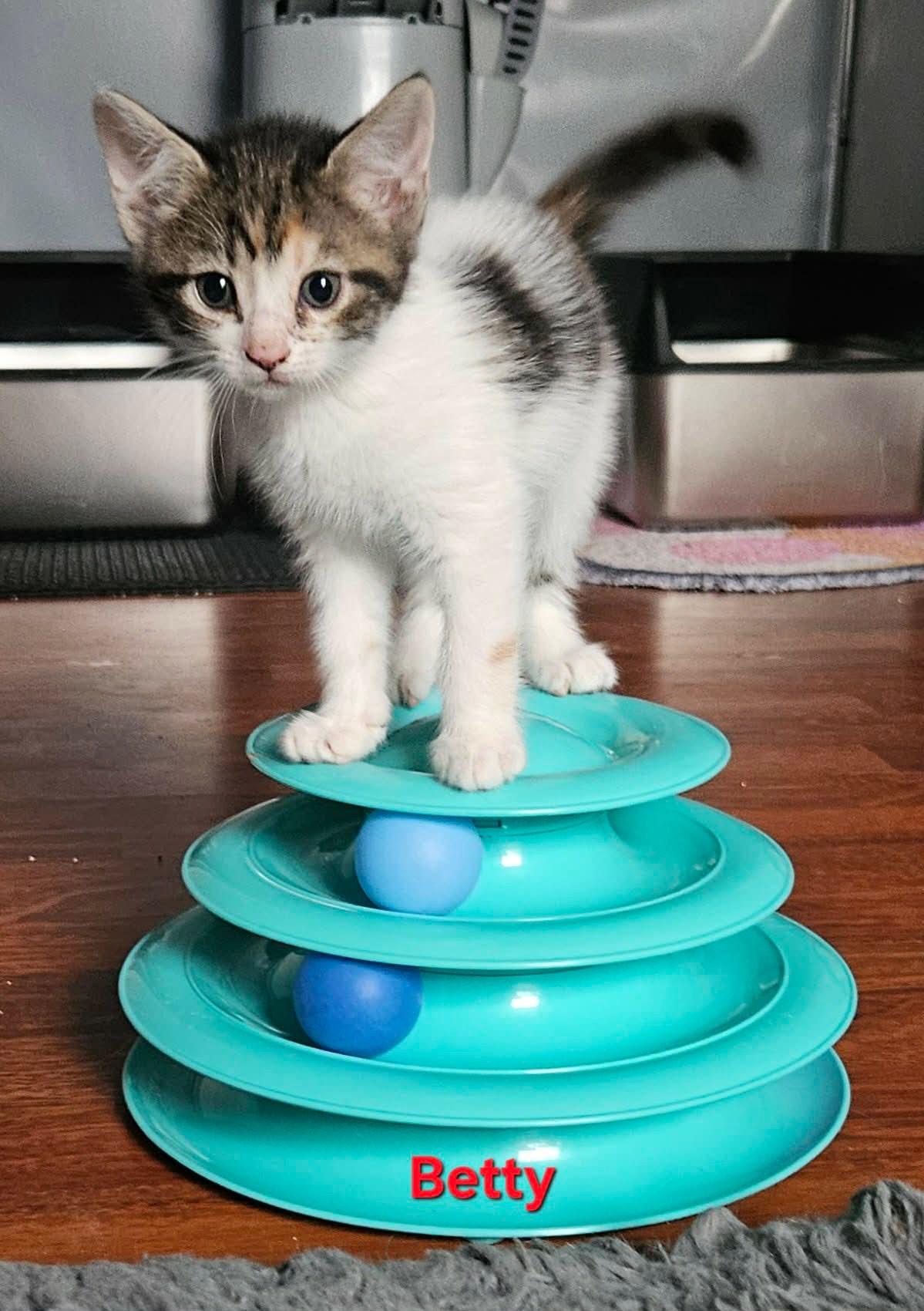 Betty Lou thumbnail 2