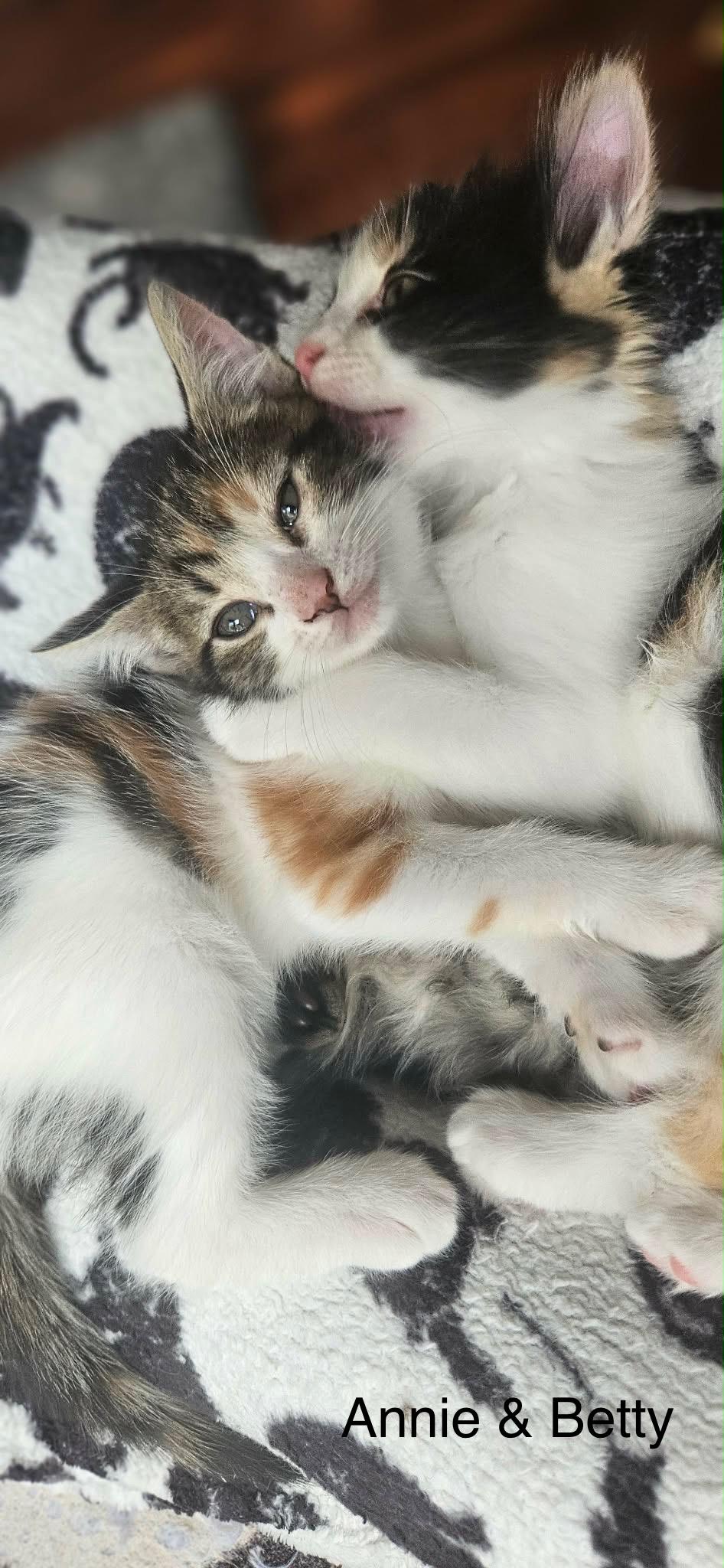 Betty Lou thumbnail 3