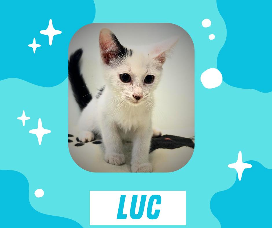 Luc