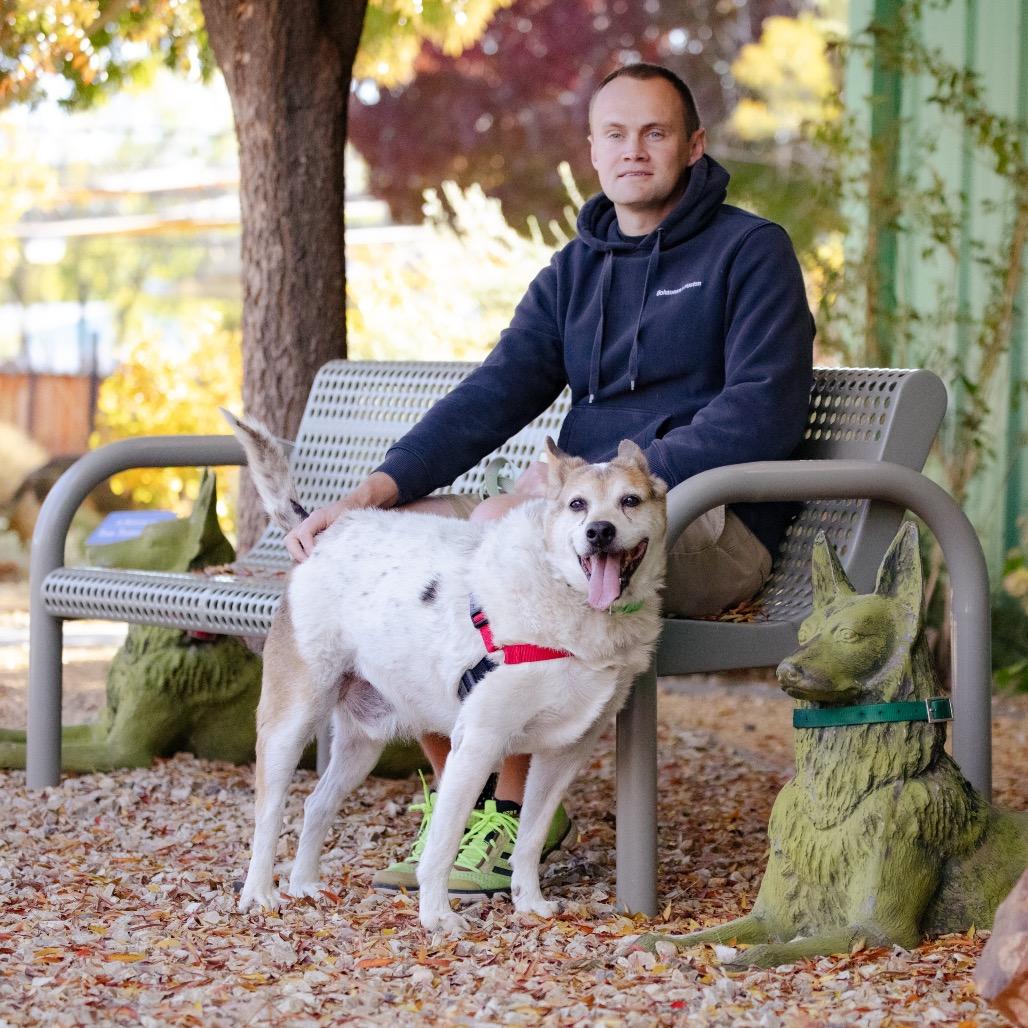 Enlarge Bandit, a Adoptable mixed breed in Albuquerque, NM image 4/6