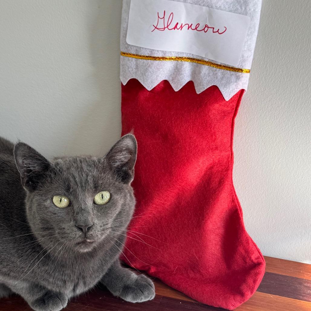 Glameow — thumbnail 4