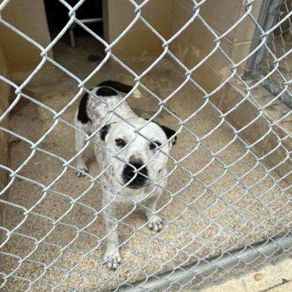 Bullseye thumbnail 4