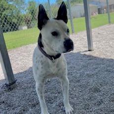 Bullseye thumbnail 5