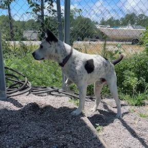 Bullseye thumbnail 6