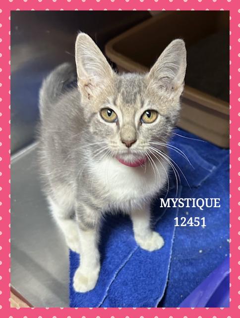 MYSTIQUE