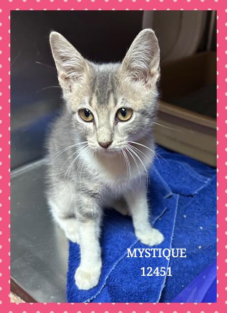 MYSTIQUE