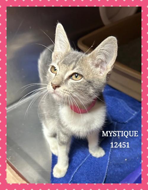 MYSTIQUE