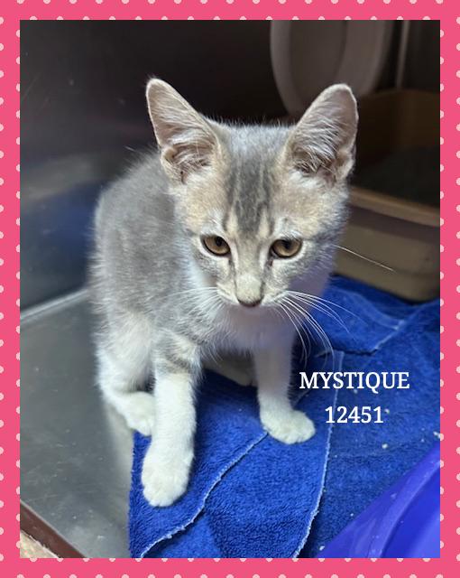 MYSTIQUE